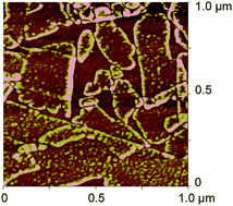 Graphical abstract: Facile preparation of Langmuir–Blodgett films of water-soluble proteins and hybrid protein–clay films