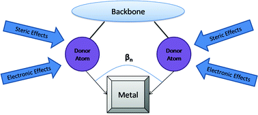 Graphical abstract: Rational design of diphosphorus ligands – a route to superior catalysts