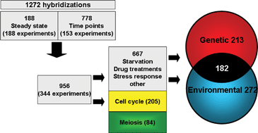 Graphical abstract: Meta-analysis of genome regulation and expression variability across hundreds of environmental and genetic perturbations in fission yeast