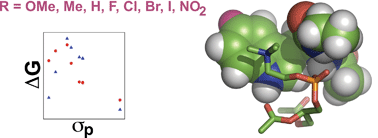 Graphical abstract: Free-energy relationships for the interactions of tryptophan with phosphocholines