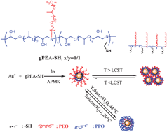 Graphical abstract: Multi-responsive amphiphilic gold nanoparticles (AuNPs) protected by poly(ether amine) (PEA)