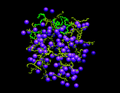 Graphical abstract: Molecular dynamics simulations of polyamidoamine dendrimers and their complexes with linear poly(ethylene oxide) at different pH conditions: static properties and hydrogen bonding