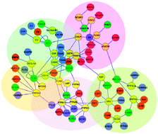 Graphical abstract: Bridging the gap between traditional Chinese medicine and systems biology: the connection of Cold Syndrome and NEI network