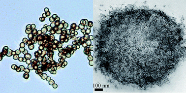 Graphical abstract: A direct technique for preparation of magnetically functionalised living yeast cells