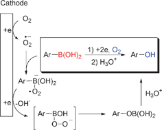 Graphical abstract: Electrochemical hydroxylation of organoboron compounds
