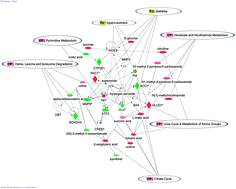 Graphical abstract: Integration of metabolomics and transcriptomics data to aid biomarker discovery in type 2 diabetes