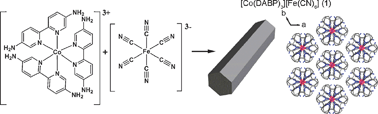 Graphical abstract: Microscale hexagonal rods of a charge-assisted second-sphere coordination compound [Co(DABP)3][Fe(CN)6]