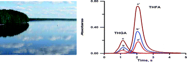 Graphical abstract: The influence of filter tube dimensions on the determination of arsenic with a transversely heated filter atomizer and atomic absorption spectrometry