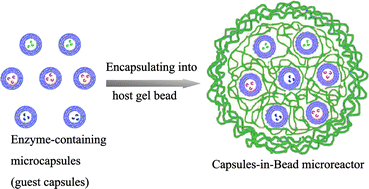 Graphical abstract: Capsules-in-bead scaffold: a rational architecture for spatially separated multienzyme cascade system