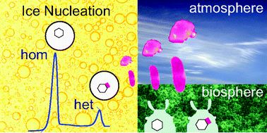 Graphical abstract: Parameterizations for ice nucleation in biological and atmospheric systems