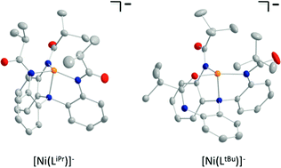 Graphical abstract: Chelating tris(amidate) ligands: versatile scaffolds for nickel(ii)