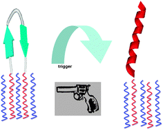 Graphical abstract: Stimulus responsive peptide based materials