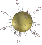 Graphical abstract: Ionophore–gold nanoparticle conjugates for Ag+-selective sensors with nanomolar detection limit