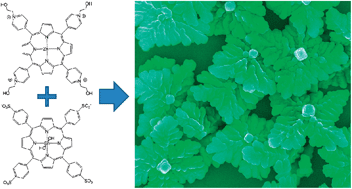 Graphical abstract: Self-assembled porphyrin nanostructures