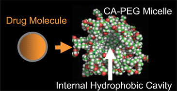 Graphical abstract: Cholic acid micelles—controlling the size of the aqueous cavity by PEGylation