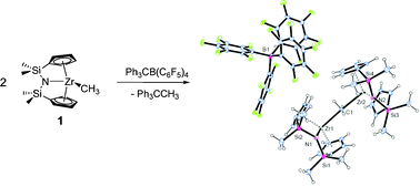 Graphical abstract: The amido-bridged zirconocene's reactivity and catalytic behavior for ethylene polymerization
