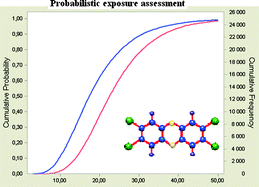 Graphical abstract: A probabilistic approach for estimating infant exposure to environmental pollutants in human breast milk