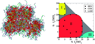 Graphical abstract: Monte Carlo simulations of self-assembling hexagonal and cage-like bifunctional periodic mesoporous materials