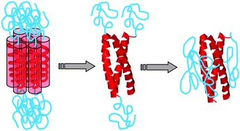 Graphical abstract: Coiled-coil helix bundle, a peptide tertiary structural motif toward hybrid functional materials