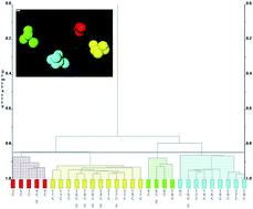 Graphical abstract: Comparing entire crystal structures using cluster analysis and fingerprint plots