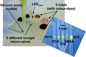 Graphical abstract: Ionogel-based light-actuated valves for controlling liquid flow in micro-fluidic manifolds