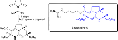 Graphical abstract: Synthesis and stereochemical determination of batzelladine C methyl ester