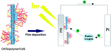 Graphical abstract: Photoinduced electron transfer in aqueous carbon nanotube/block copolymer/CdS hybrids: application in the construction of photoelectrochemical cells