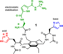 Graphical abstract: Synthesis and kinetic studies of a low-molecular weight organocatalyst for phosphate hydrolysis in water