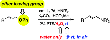 Graphical abstract: Aminations of allylicphenylethersvia micellar catalysis at room temperature in water