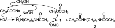 Graphical abstract: CH3COONa as an effective catalyst for methoxycarbonylation of 1,6-hexanediamine by dimethyl carbonate to dimethylhexane-1,6-dicarbamate