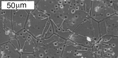 Graphical abstract: Thermal stability of alkali and alkaline-earth substituted LAMOX oxide-ion conductors