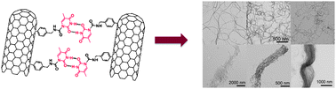 Graphical abstract: Supramolecular aggregation of functionalized carbon nanotubes