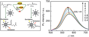 Graphical abstract: A photoluminescent nanocrystal-based signaling protocol highly sensitive to nerve agents and highly toxic organophosphate pesticides