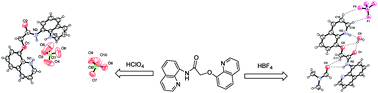 Graphical abstract: Different spatial orientations of amide derivatives on anion coordination