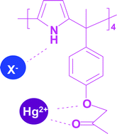 Graphical abstract: Calixpyrrole chemistry: a study of a new ditopic receptor highlighting some fundamental concepts in assessing thermodynamic selectivity