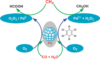 Graphical abstract: Quinone tailored selective oxidation of methane over palladium catalyst with molecular oxygen as an oxidant