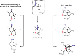 Graphical abstract: Rapid formation of complexity in the total synthesis of natural products enabled by oxabicyclo[2.2.1]heptene building blocks