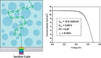 Graphical abstract: High-efficiency metal-free organic-dye-sensitized solar cells with hierarchical ZnO photoelectrode