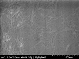 Graphical abstract: Enzymatic-mediated production of cellulose nanocrystals from recycled pulp