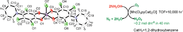 Graphical abstract: Unexpected formation of a novel pyridinium-containing catecholate ligand and its manganese(iii) complex