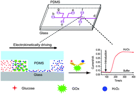 Graphical abstract: Study on the kinetics of homogeneous enzyme reactions in a micro/nanofluidics device