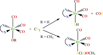 Graphical abstract: Reactivity of a rhenium hydroxo–carbonyl complex toward carbon disulfide: insights from theory