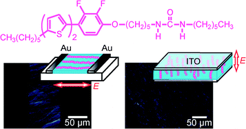 Graphical abstract: Alignment of photoconductive self-assembled fibers composed of π-conjugated molecules under electric fields