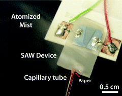 Graphical abstract: The extraction of liquid, protein molecules and yeast cells from paper through surface acoustic wave atomization