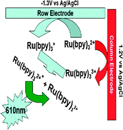 Graphical abstract: Addressable electrochemiluminescence detection system based on redox-cycling of Ru(bpy)32+