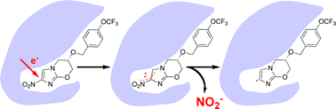 Graphical abstract: Release of nitrite from the antitubercular nitroimidazole drug PA-824 and analogues upon one-electron reduction in protic, non-aqueous solvent