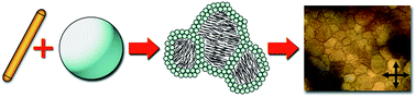 Graphical abstract: Arrested phase separation of colloidal rod–sphere mixtures