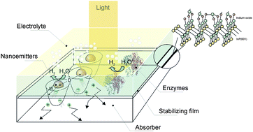 Graphical abstract: Photoelectrocatalysis: principles, nanoemitter applications and routes to bio-inspired systems