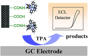 Graphical abstract: Enhanced electrochemiluminescence efficiency of Ru(ii) derivative covalently linked carbon nanotubes hybrid