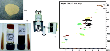 Graphical abstract: Solution-state 2D NMR of ball-milled plant cell wall gels in DMSO-d6/pyridine-d5